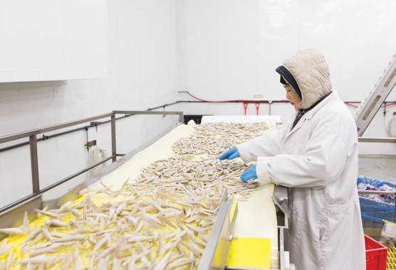 The pack room’s line workers constantly inspect raw frozen smelt making its way toward the packaging area to remove any broken or deformed pieces of the processed smelt before they make their way up to the automatic weighscales located overhead.