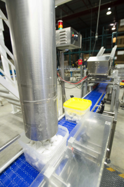A transfer tube connected to Multiweigh scales overhead dispenses precise quantities of dishwash detergent pods into plastic tubs transferred by the Speedway conveyors below.