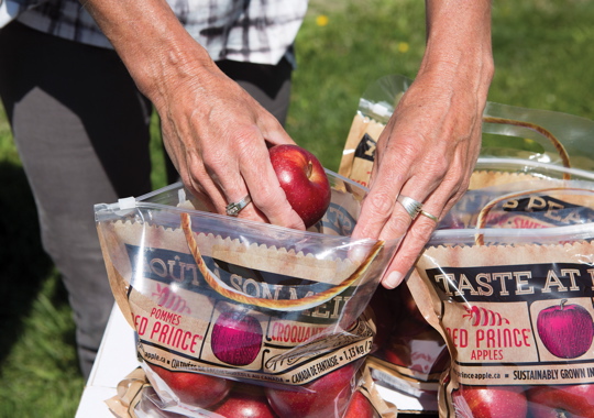 Designed by St. Joseph Communications|Content Group, the innovative reclosable plastic Red Prince apple bag provides excellent shelf appeal through optimal package transparency that lets the product speak for itself.