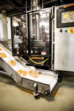 Bagged and sealed portions of breaded chicken strips emerge from a Barry-Wehmiller Hayssen vertical bagging machine, controlled via an Allen-Bradley PanelView touchscreen terminal, onto an incline bucket elevator for swift transfer to the boxing stage.