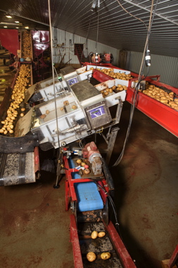 Two Bulk Potato Retract metal detection systems used by Monaghan Farms at its Prince Edward Island facility, are specially-designed from a basic Phantom metal detection unit specifically for the potato processing market segment.