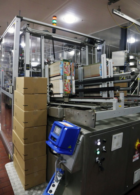 An Imball carton erector uses a Nordson pattern control system for reliable hotmelt adhesive applicating on Unilever’s Fruttare frozen fruit bar production line.