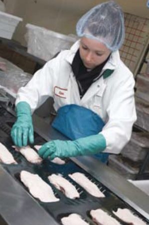 A Brome Lake Ducks employee placing individual portions of duck meat into trays prior to directing them for final wrapping and sealing. 