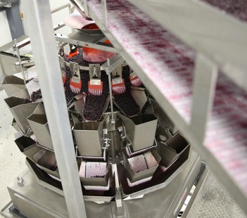 A food-grade conveyor transfers the bulk loose wild blueberries into the multihead, fully-automatic Ishida weighscales at the Saint-Bruno facility.