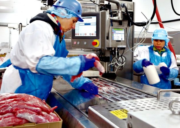 Workers at The Elite meat Company’s 28,000-square-foot Ajax facility hand-load select cuts of pork tenderloin onto the bottom film of the company’s iSeries thermoform machine purchased via the Canadian arm of Swiss manufacturer VC999.